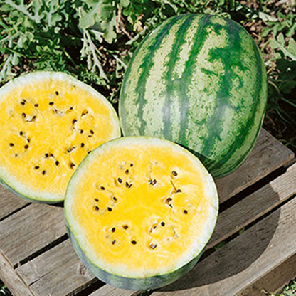 Watermelon