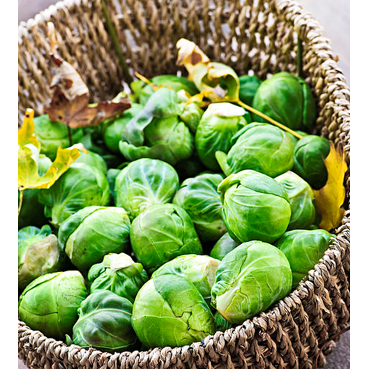 Brussels Sprouts