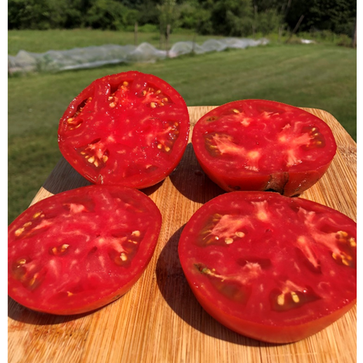 Tomatoes
