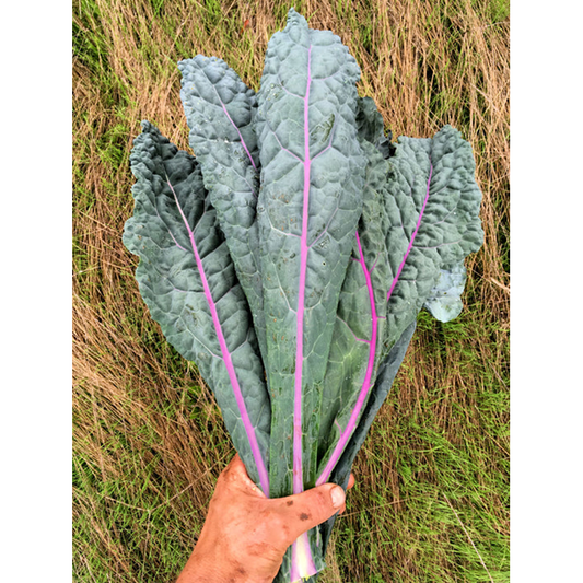 Kale