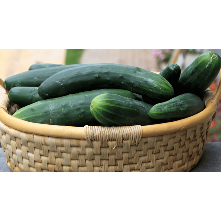 Cucumbers