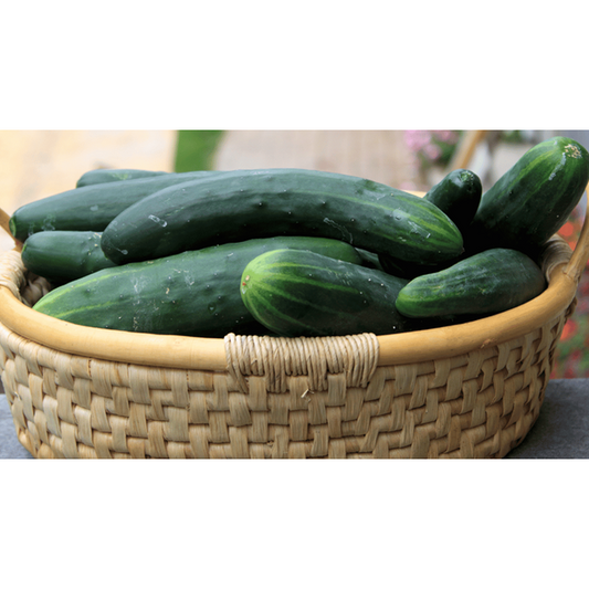 Cucumbers