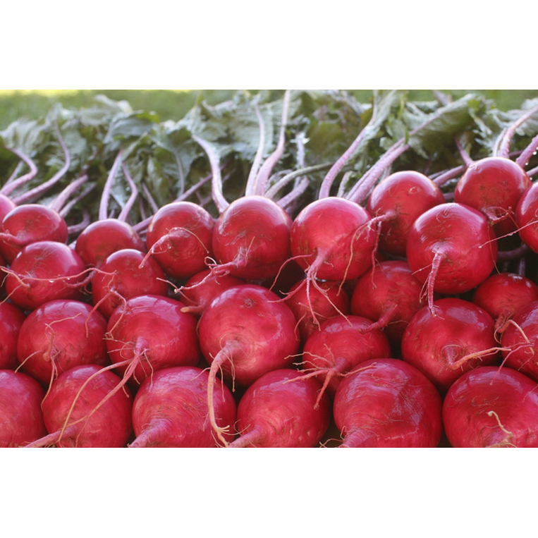 Turnips