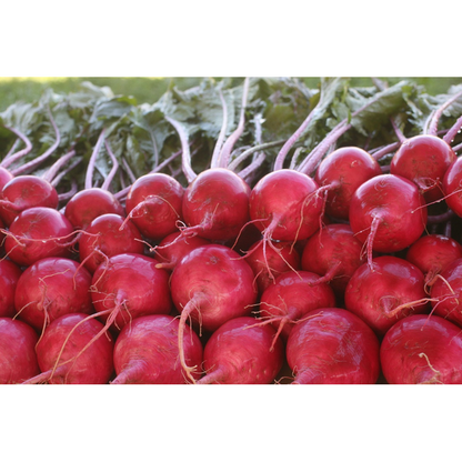 Turnips