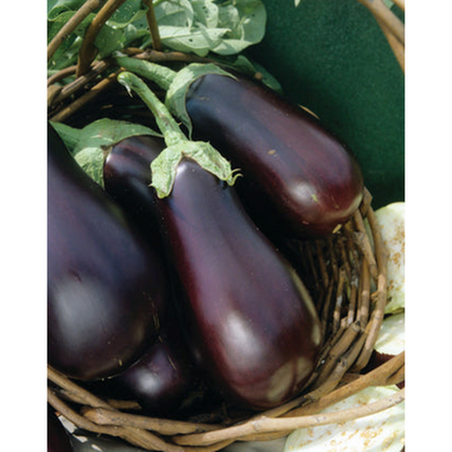 Eggplants