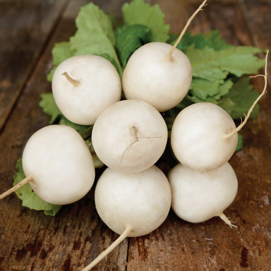 Turnips
