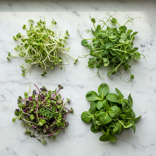 Microgreens - Digestion Blend
