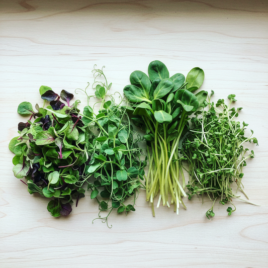 Microgreens - Gentle Greens