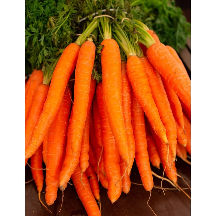 Carrots