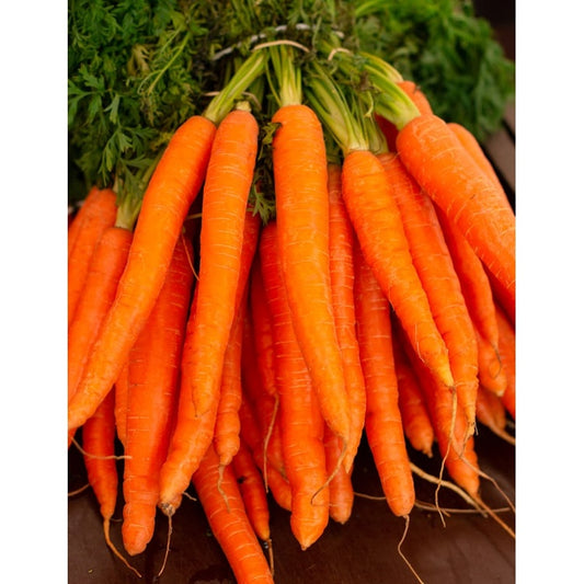 Carrots